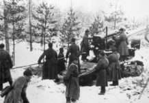 Нас фіни розпестили… Нотатки історика на полях маловідомої стенограми Наради в ЦК ВКП