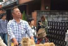 Забавні тварини, щоб ваш день був похмурим