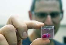 Ізраїльські вчені першими у світі за допомогою 3D-принтера створили «живе» серце !!!