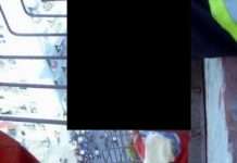 Великі вуха можуть врятувати життя