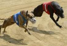 Як будуть діяти Зеленський і Порошенко в останні дні перед вирішальним туром