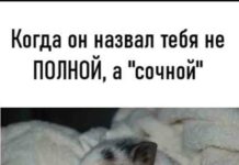 Через ідіотів все важче жити дурням-смішні картинки з написами
