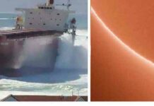 Обережно, такі величезні штуки можуть викликати напад мегалофобії (42 фото)