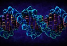 Сліди днк на місці злочину можуть ввести в оману