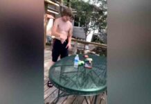 Відео: дивовижні моменти, які випадково встигли зняти на камеру