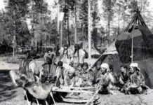 Як ловили банду евенка павлова, що грабував золоті копальні