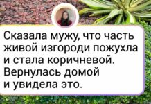 16 осіб, які засукали рукави і взяли все в свої руки. Але щось пішло не так
