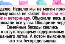 15 + вихованців, які що тільки не придумують, аби господарі не нудьгували