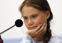 Хто ж винен у паливній кризі? британці поклали провину на грету тунберг (1 фото)