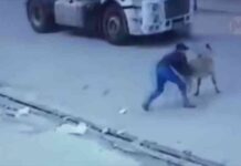 Глава ран олександр сергєєв: “віруси можуть виникнути несподівано”