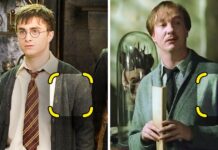 14 деталей з “гаррі поттера”, які багато прогледіли, навіть якщо дивилися фільми сотню разів