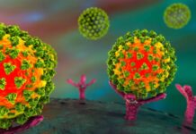 Нову версію омікрон-штаму буде складніше виявити