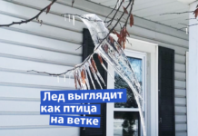 36 фото, які хочеться прокоментувати всього однією фразою: “ви теж це бачите?”