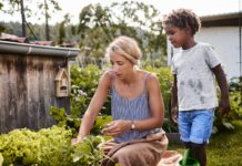 Вражда с жарой: Как ученые готовят растения к климатическому катаклизму