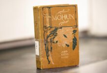 Тайны старых книг: Хром в золотистых обложках и скрытые опасности