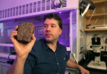 Камень-обманщик: Мифы о древней жизни на Земле рушатся