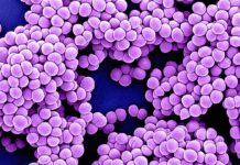 Антибиотико-резистентность: тихий шторм, бушующий за пределами больниц