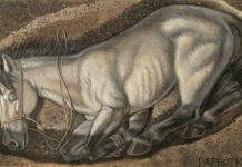 Тайны Балтийских Жертвоприношений: Лошади-Путешественницы из Скандинавии