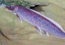 В Зимбабве Проснулись Древние Тайны Триасового Мира