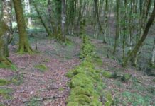 Тайна Спартака: Древняя стена, построенная для удержания мятежного гладиатора