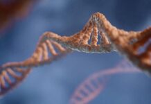 Раскрывая Тайны Сворачивания ДНК: Многослойная Модель – Ключ к Новым Медицинским Прорывам