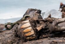 Тайны Сибирских Корней Скифской Империи: Когда Всадники Зари Пронзили Евразию