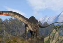 Эволюционный Танец: Когда Растения Стали Основой Движения Жизни