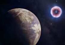 Космічна печатка: як наднова 2.5 мільйона років тому відбила еволюцію вірусів на Землі