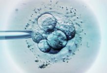 Діти, створені з використанням ДНК трьох осіб, вільні від спадкових захворювань