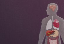 Біологічний вік органів: нова ера в розумінні здоров’я і довголіття