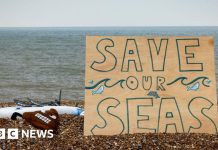 Скільки стічних вод потрапляє в річки, озера та моря поблизу вас?