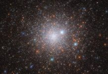 Захоплюючий портрет давнини: космічний телескоп “Хаббл” зафіксував кульове скупчення NGC 1786