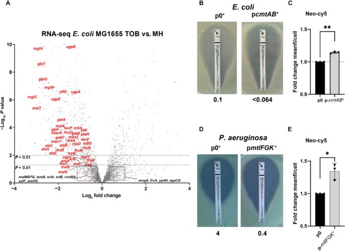 2ccaa3a9-69c6-4144-91f0-dd0385a85daa
