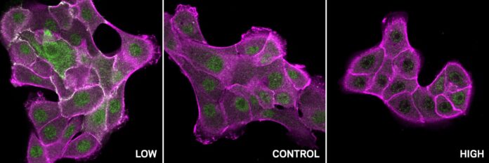 3d049e27-4ab1-4084-bd81-b97faa9022e8