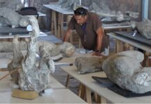 Жертви Помпеї носили вовну в серпні: холодний період чи практичний захист?