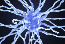 Obat Baru Menjanjikan dalam Memperlambat Alzheimer Sebelum Gejala Muncul