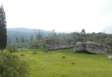 Древняя ДНК Подтверждает, Что Сифилис Произошел в Америке