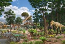 Вразливі гіганти: молоді зауроподи як ключова здобич в екосистемах юрського періоду