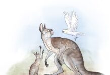 Гігантські кенгуру стрибали, незважаючи на свій розмір, підтверджує новий аналіз копалин