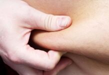 Жирова тканина: більше, ніж просто енергія – ключовий регулятор здоров’я