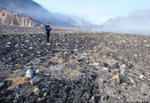 Pelaut Purba Mencapai Kepulauan Arktik Terpencil 4.500 Tahun Lalu