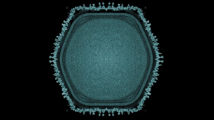 8c33e9b0-8264-4e49-9869-fe5c111b8b1f