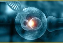 Генетичний Відбір Ембріона: Етична Криза, що насувається