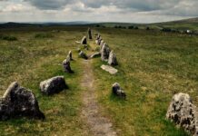 «Більш просунуті» жінки-землеробки вийшли заміж за чоловіків-мисливців-збирачів у Європі тисячі років тому, показує стародавня ДНК