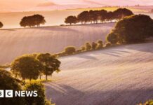 1 Мільйон Фунтів Стерлінгів Пропонується Виділити на Благоустрій Національного Ландшафту Норт-Уессекс-Даунс