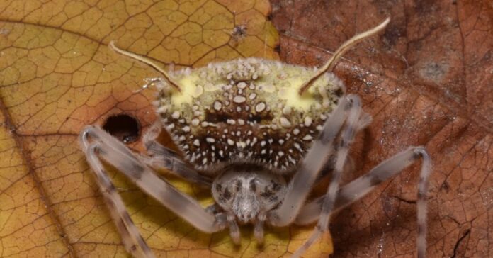 6b364476-fa1e-42d7-b9d4-a9e661f72a5a