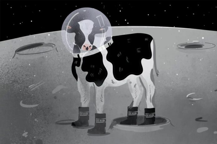 a4d3658b-5194-48ce-8ea6-4bab7e56738d