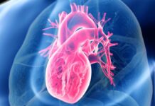 Пріоритет Якості їсти, а не строгим дієтам для здоров’я серця, підтверджує нове дослідження