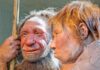 Declino dei Neanderthal: prove genetiche rivelano gli ultimi secoli di lotta