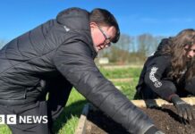 Студенти Джерсі Розвивають Екологічні Навички Завдяки новій програмі GROW